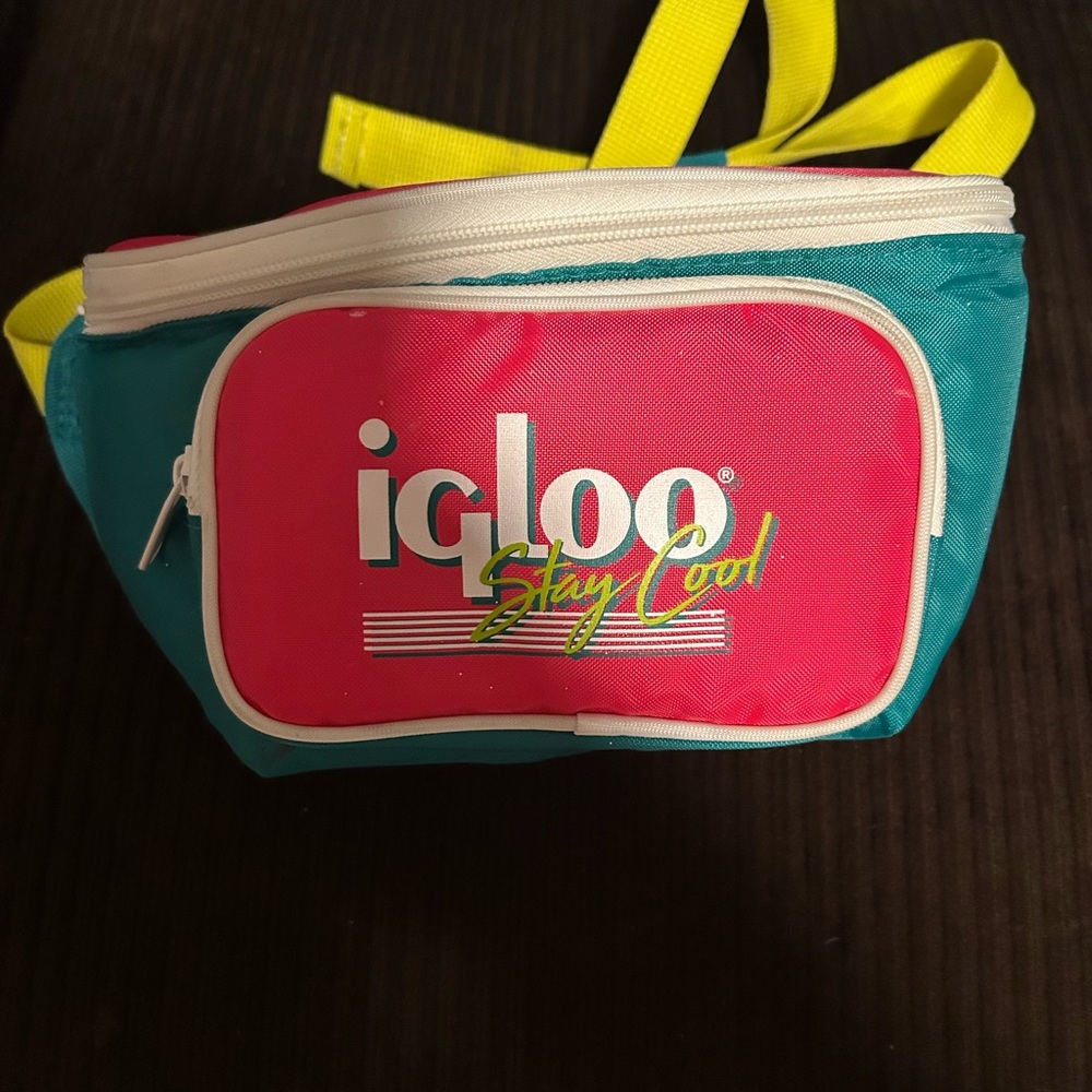 Igloo Pink and Teal Cooler Bag